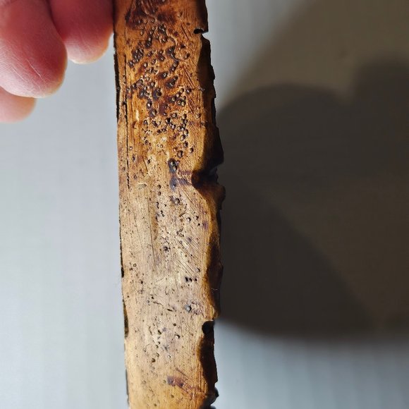 Rare Mid Century Round Chalkware Paris Souvenir Plate 6.25" Parisian Scene 3D - Picture 6 of 15